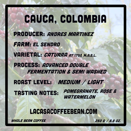 Caturra Floral