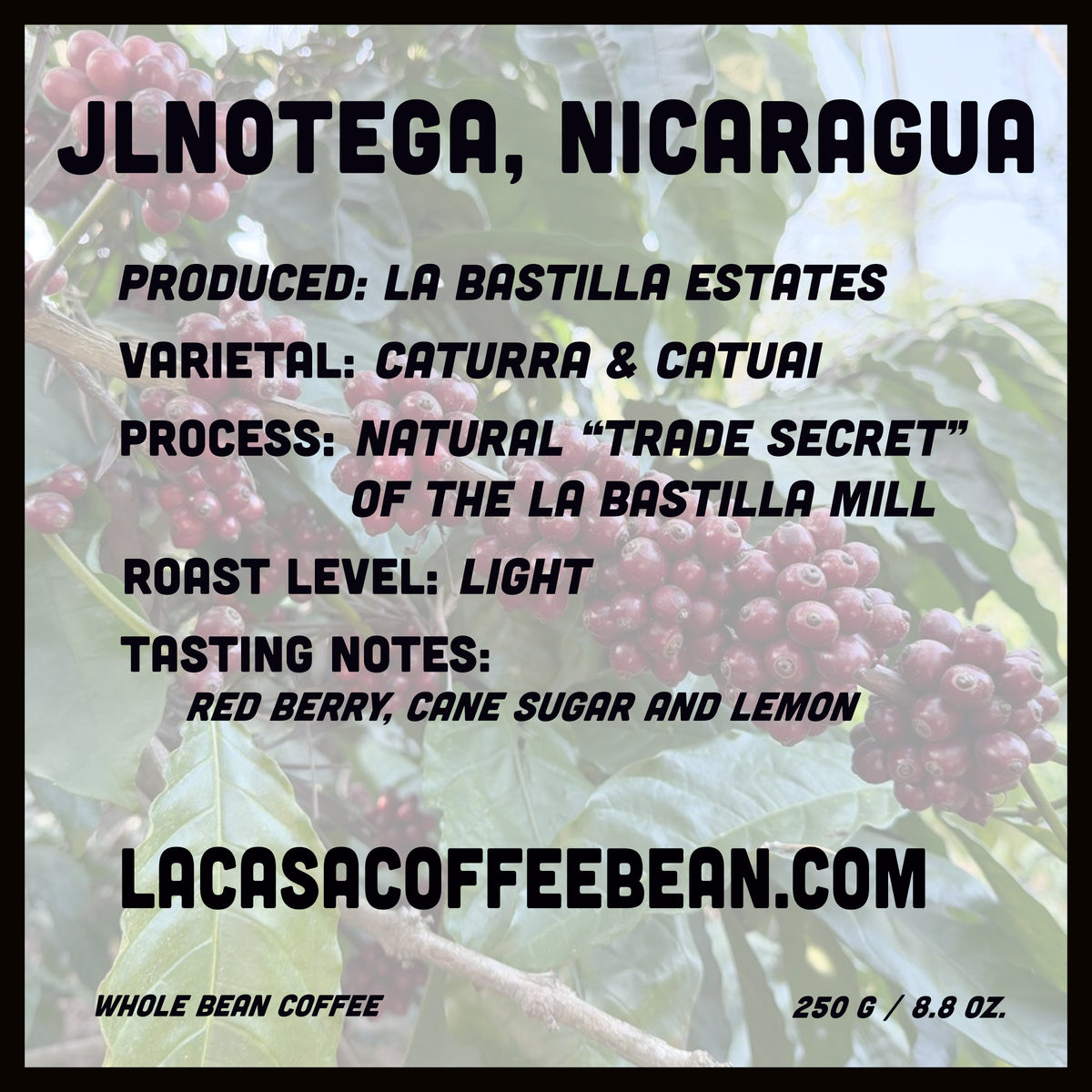 Finca La Bastilla Natural