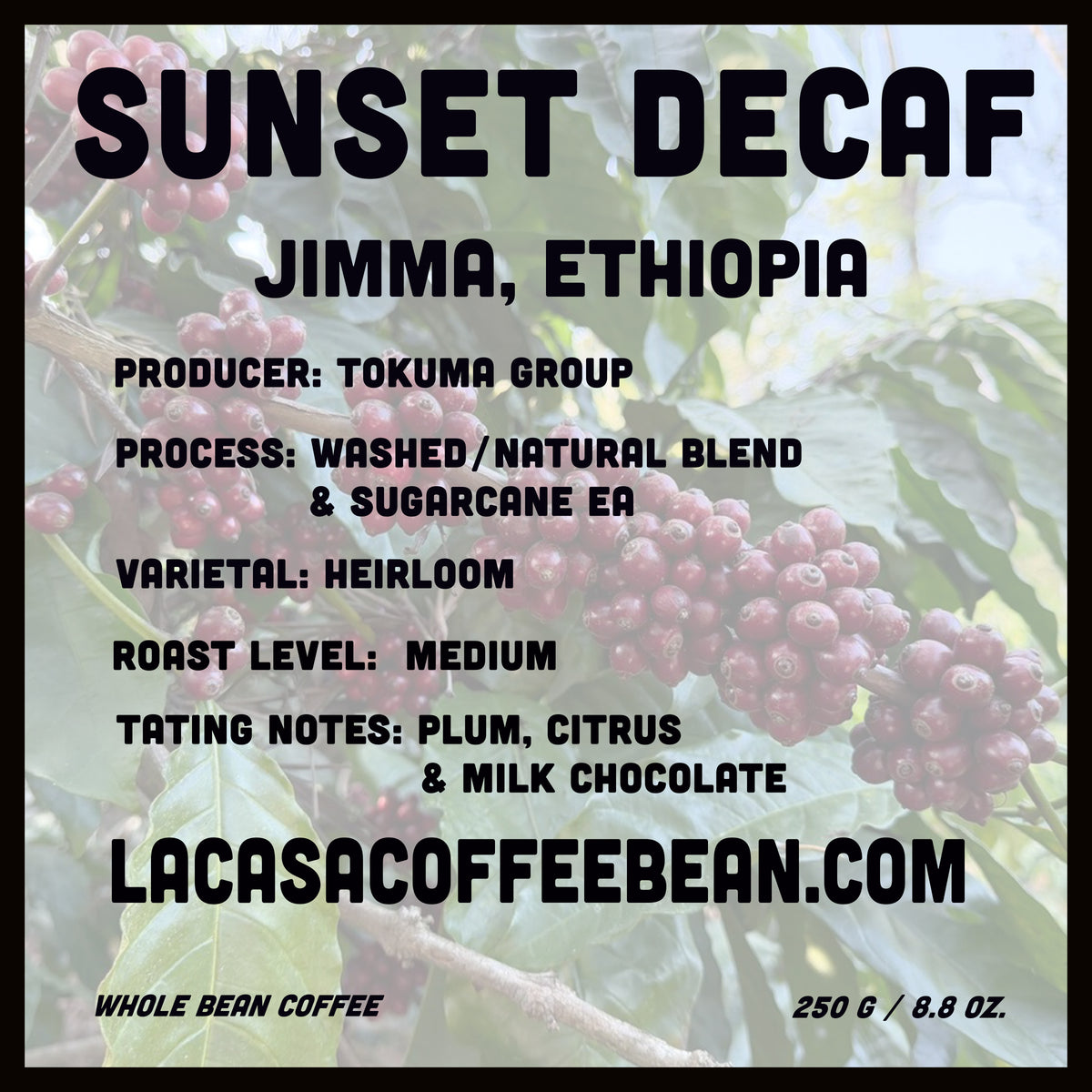 Sunset Decaf