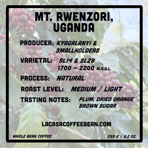 Uganda, Mt. Rwenzori